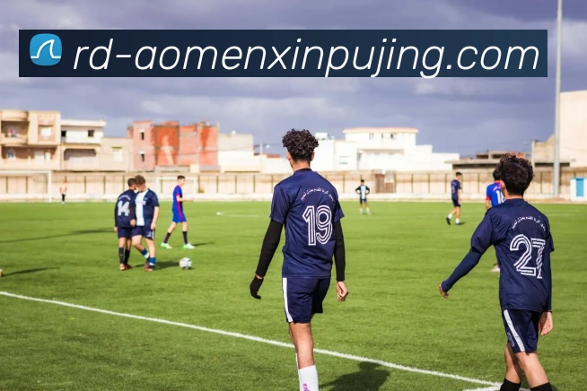 App Interface Preview