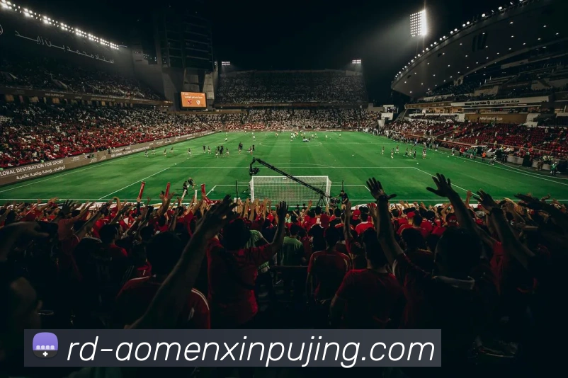 新葡京娱乐APP 封面图